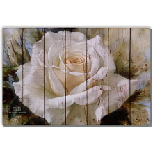 Creative Wood Цветы Цветы - 4 Белая роза